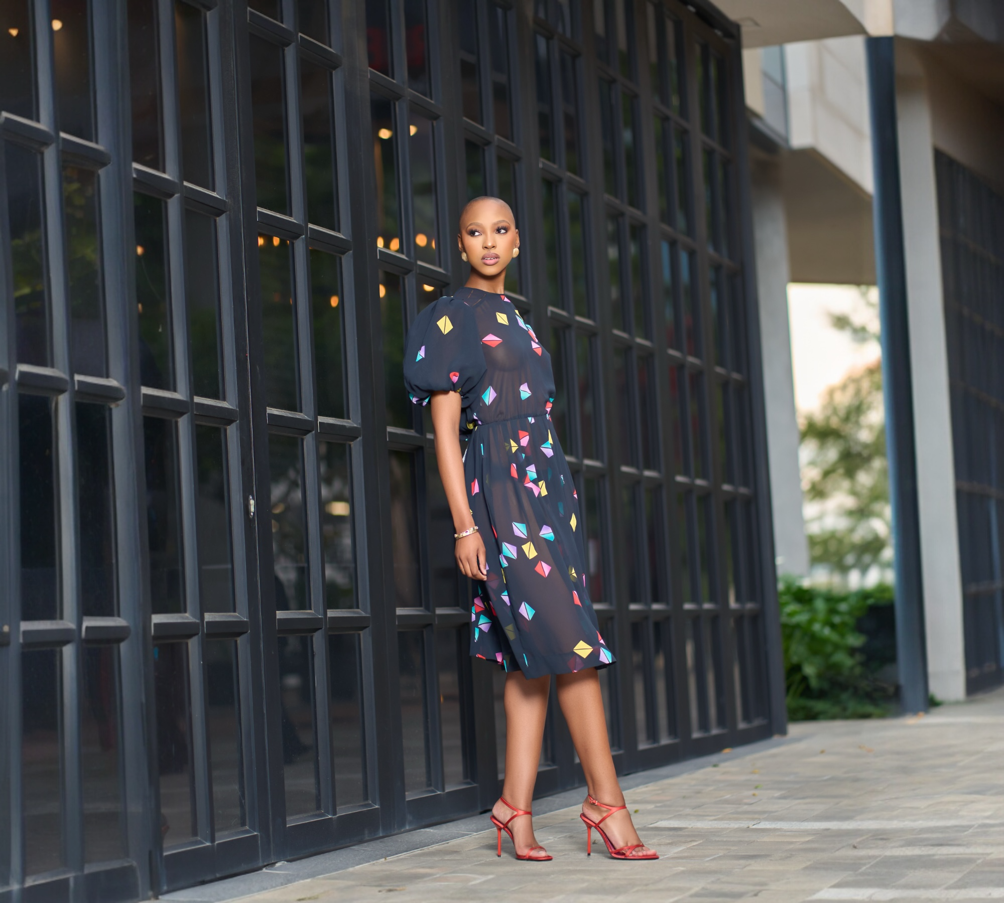 Nipon Boutique sheer color joy vintage dress