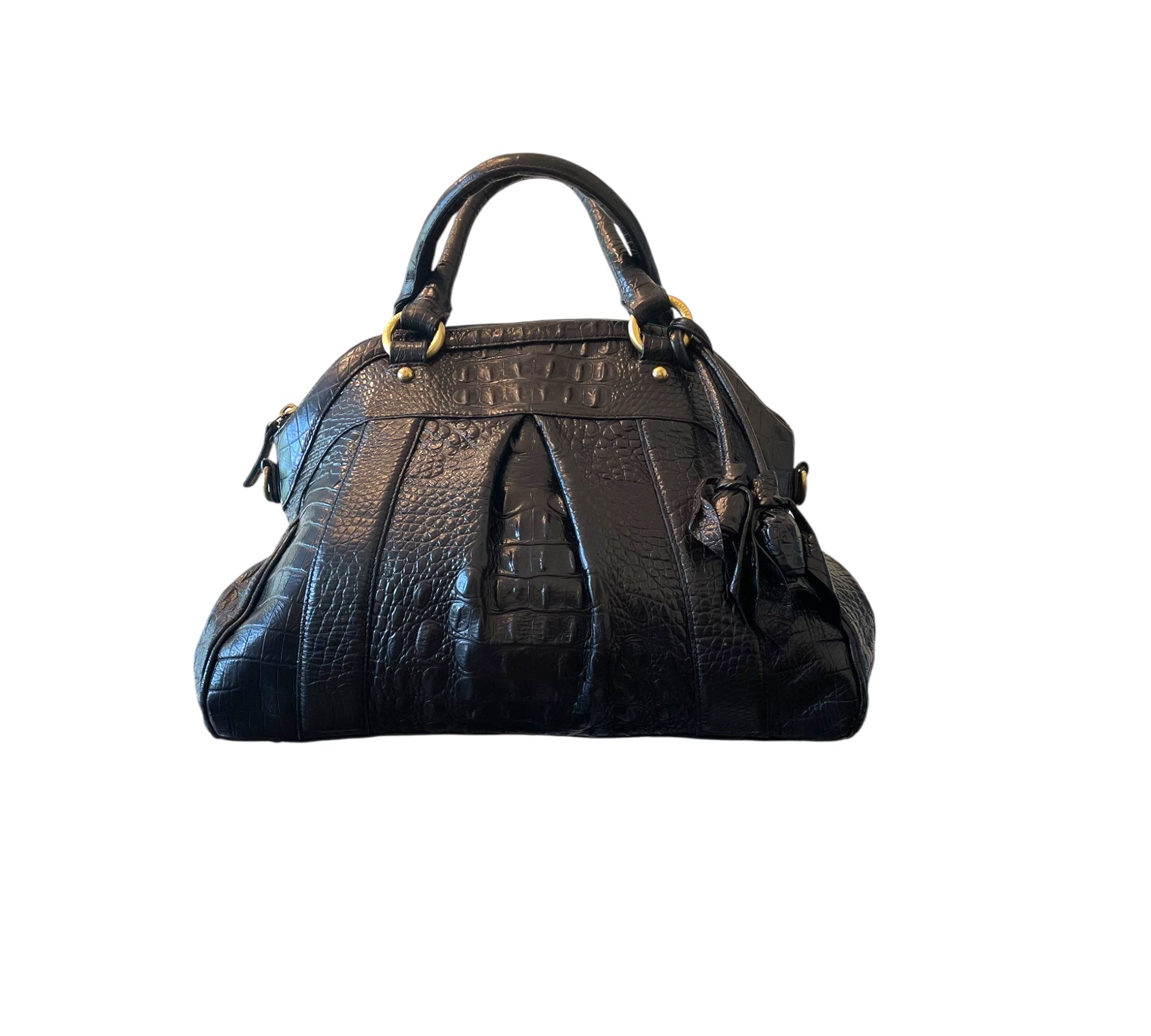 Brahmin Louise satchel with roses